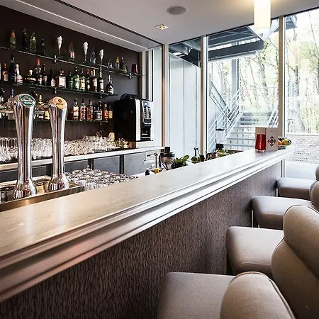 Western Paris Ermitage 4* מדון